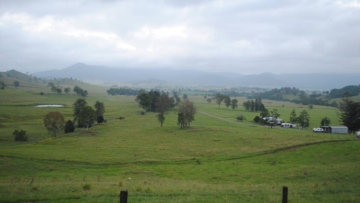 The view from the cottage on Conondale Station. 
