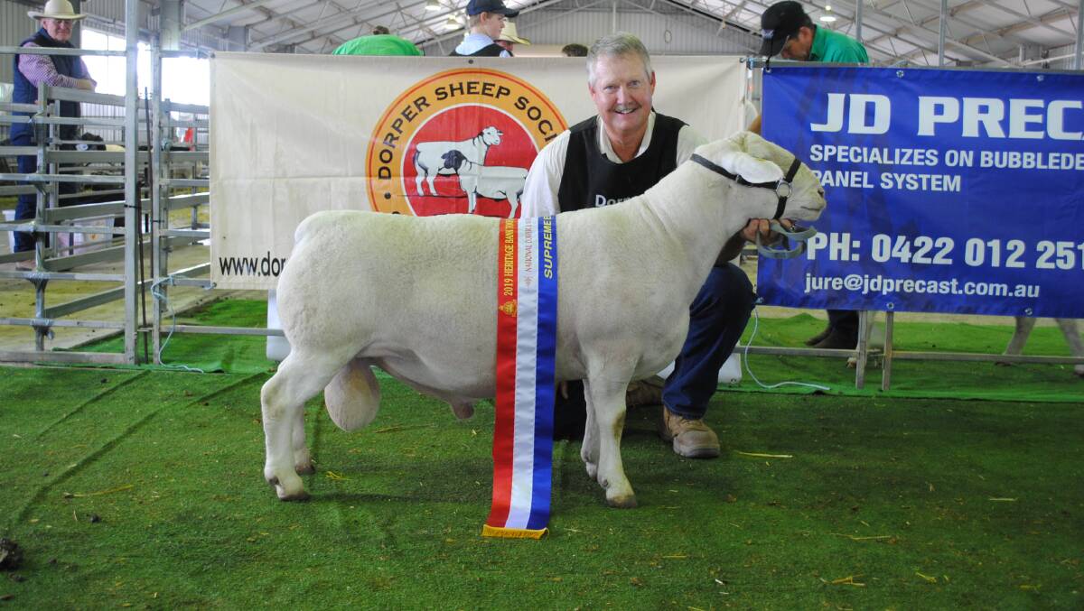 Supreme champion exhibit Burrawang Dorpers and White Dorpers' ram Piet with stud manager Wicus Cronje. 