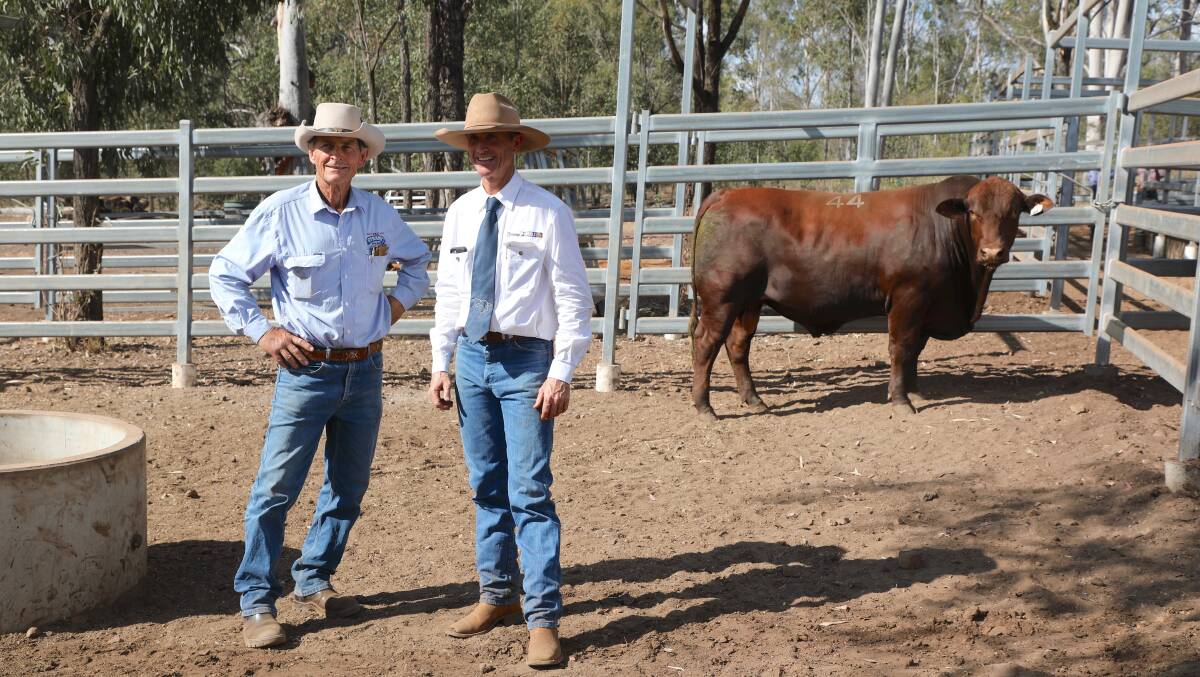 With one of the equal top selling bulls at $15,000 are the buyer Burnett Joyce, Gyranda Stud, Theodore and vendor, Rick Greenup, Greenup Eidsvold Station Studs, Kumbia. With them is the Gyranda purchase, Greenup Pascal P356 (P) (20-months).