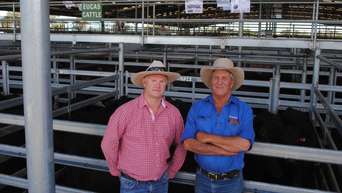 Yarranlea producer Troy D'Arcy and Garth Fitzgerald, Millmerran Rural Agencies, with Mr D'Arcy's grand champion pen at the Dalby Feeder and Store Challenge. 