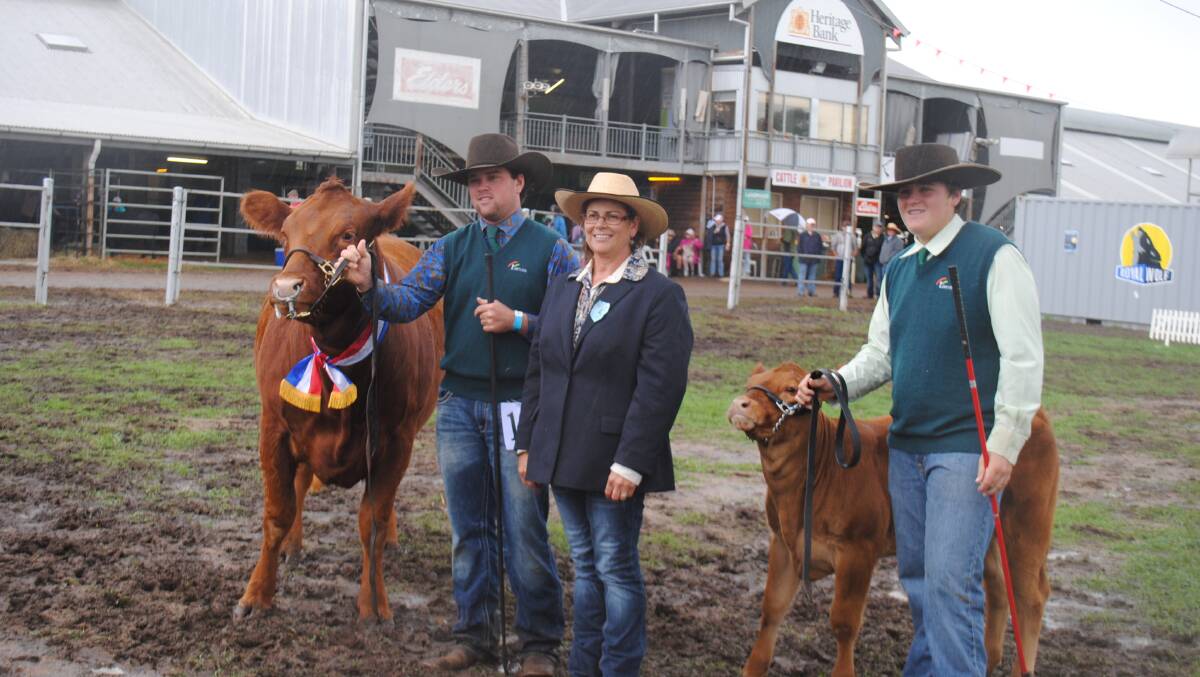 A.T Limousins' Adam Williamson with  large breed interbreed champion cow A.T Miss Izz, judge Kirrily Johnson-Iseppi and Callum McNicholl with calf. 