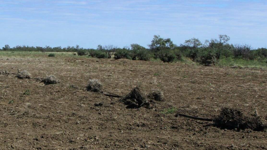 A Nelia district fence line damaged in February's floods. Photo: Sally Cripps