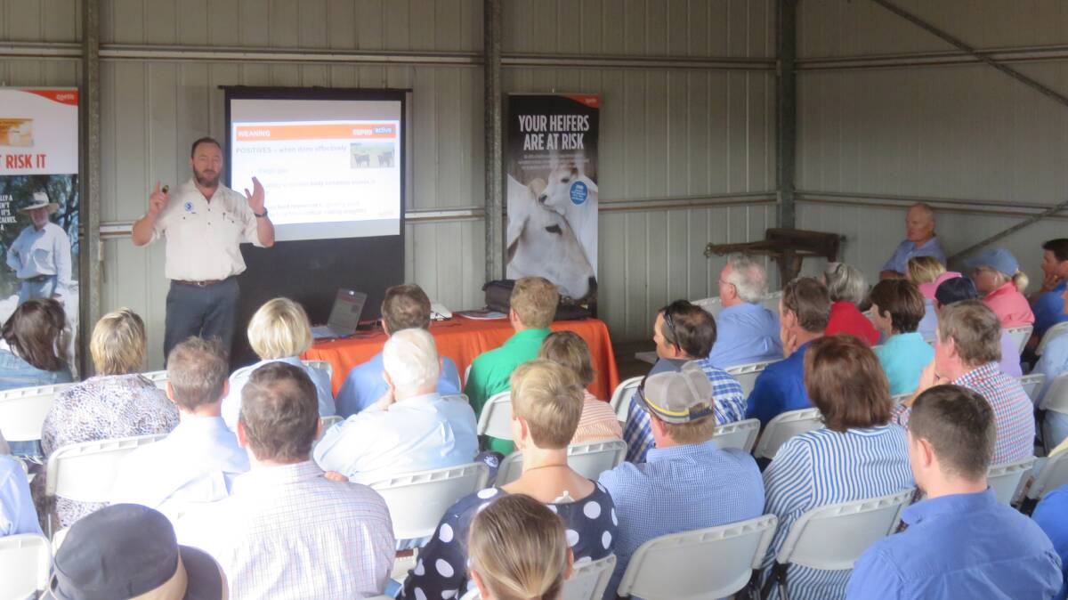 Paul Cusack speaking at the ReproActive Darling Downs field day. 