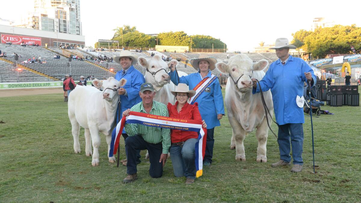 Champion of champions pairs went to the Charolais breed, with cow and calf exhibited by Greg and Jenny Frizell, Wakefield Charolais, Armidale and bull exhibited by David Whitechurch and family, 4 Ways Charolais, Inverell. Front row: Greg Frizell and Amy Whitechurch. Back row: Nigel Wieck, holding the calf, Casey Wieck holding the cow and David Whitechurch holding the bull. Picture: Rachael Webb.