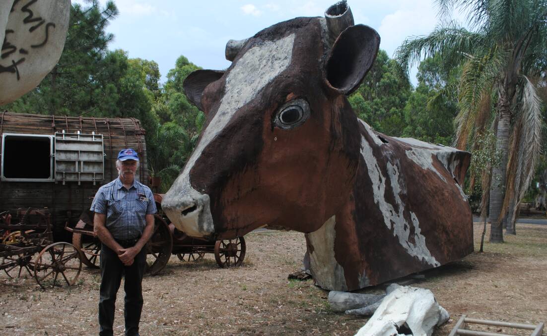 Highfields Pioneer Village volunteer manager Ray Ashford with the top of the Big Cow, cut in half for transporting to its new home. 