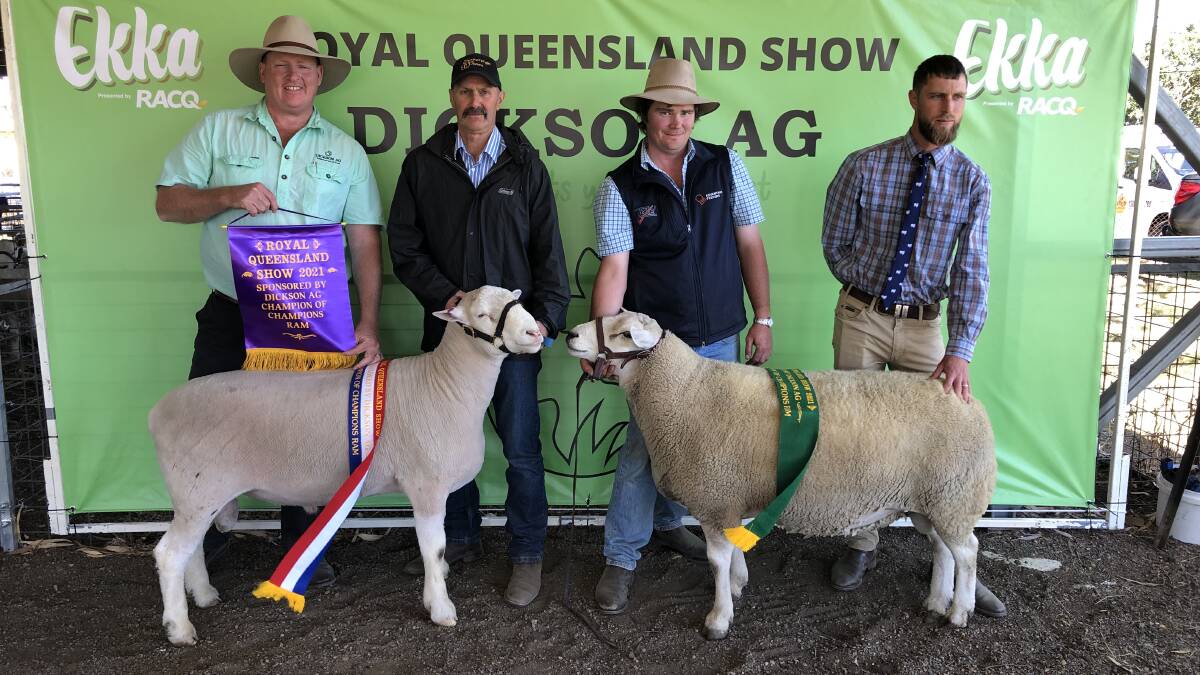 While the 2021 Ekka didn't go ahead, the sheep competition was held in Pittsworth in October.
