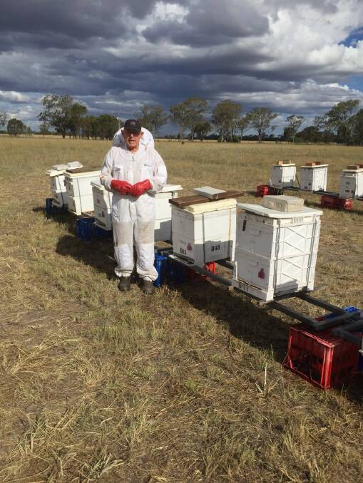 Dalby beekeeper Peter Donohoe with his hives