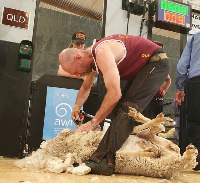 Phil Schoff during the Australian National Shearing Championships in Dubbo