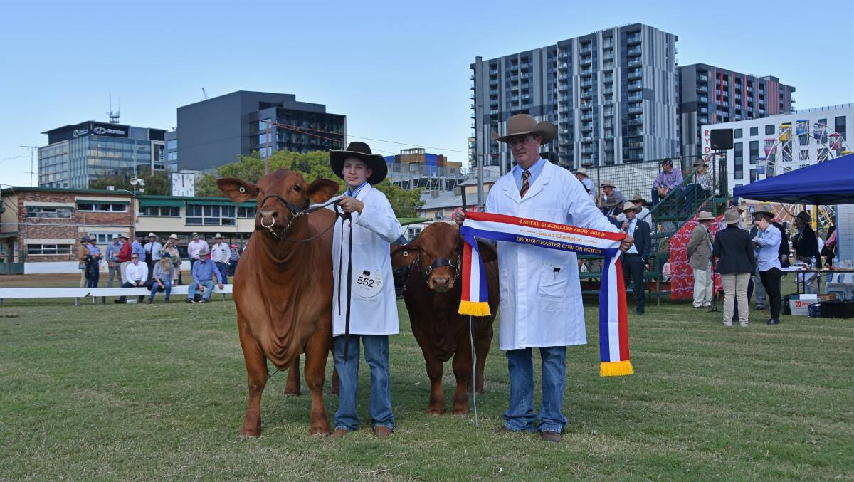  Beefmaster/Droughtmaster Miss World Glenlands D Whitney at the Royal Queensland Show, held by Callan Childs with calf Glenlands D Billy, held by Darren Childs. 