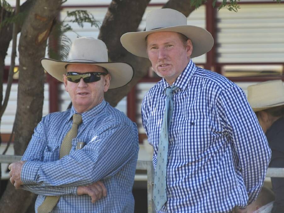 Stud cattle judges Warren Wilson and Graham Brown.
