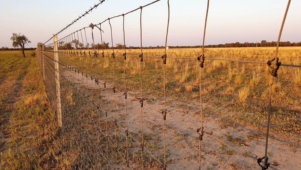 Exclusion fencing across Queensland is one of the factors reportedly helping to reduce the need for wild dog control coordination. 