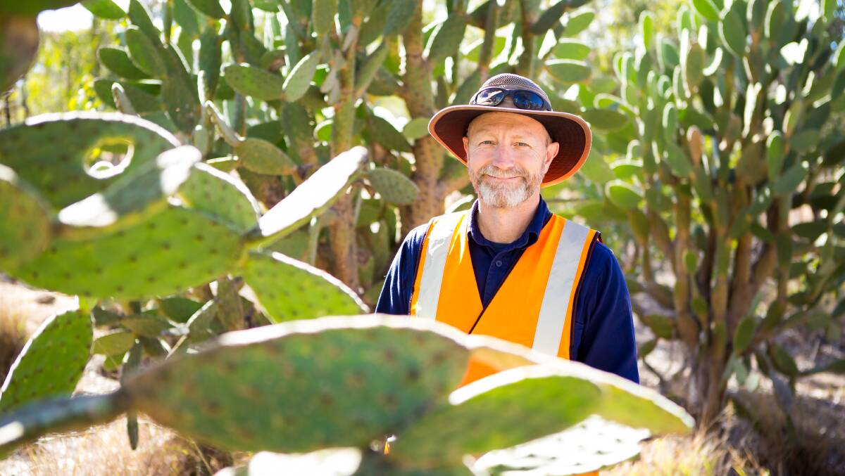 Mathew Warren, senior local laws officer with the Southern Downs Regional Council, works closely with local landholders to tackle weeds and feral animals. 