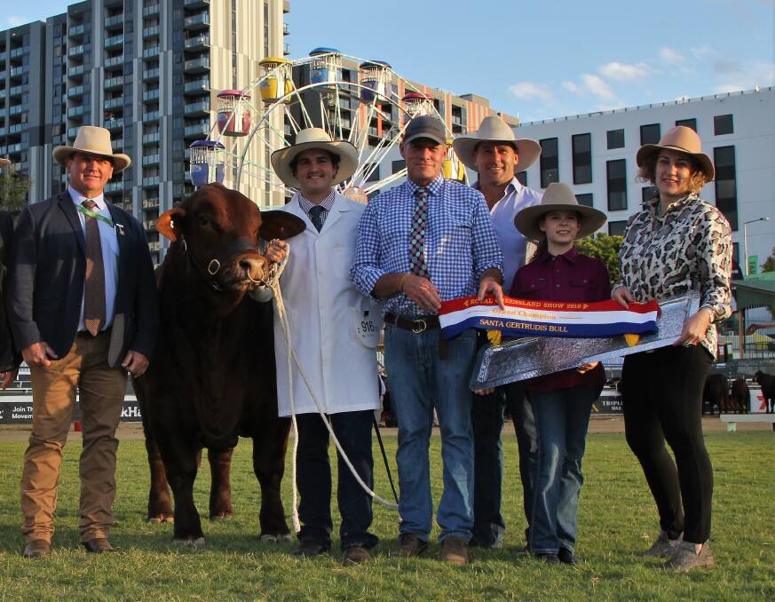 Several Queensland bulls have been given honours in the Champion of Asia/Africa section of the Champion of the World competition. 