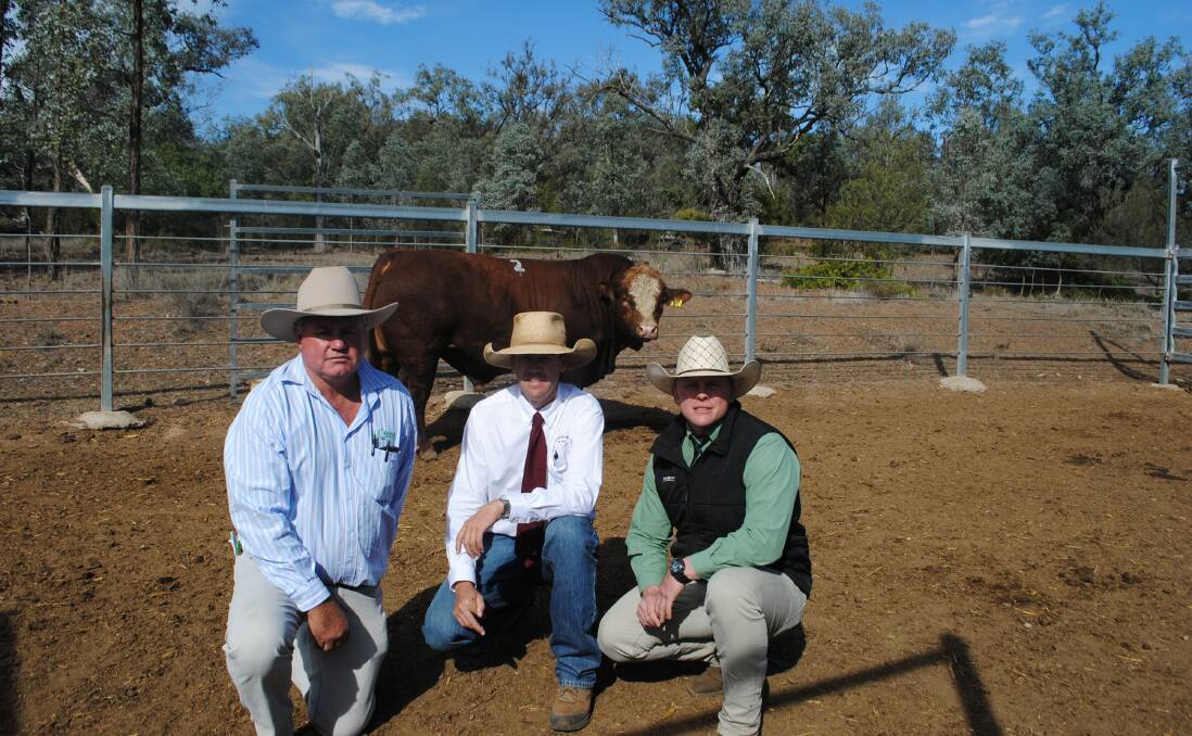 Lucrana Nadal with Lucrana Simmentals stud principal Andrew Moore, Robbie Bloch, C.L. Squires and Colby Ede, Landmark. 