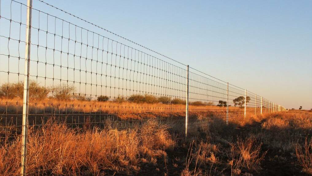 Balonne Shire Council plans to use a Queensland Treasury Corporation loan to fund a wild dog exclusion fencing scheme.
