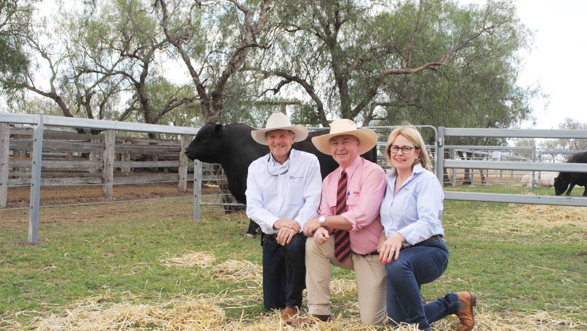 Jim Wedge, Elders' Andrew Meara and Jackie Wedge with the top price Angus bull, Ascot New York N365.