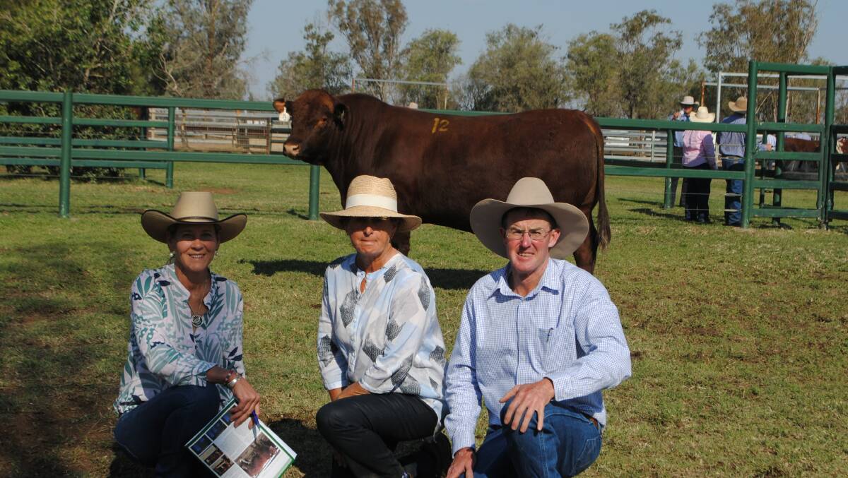 Sophie Morgan and Godfrey Morgan, The Grove Shorthorns with buyer Judy Acton (centre) and the second top price bull.
