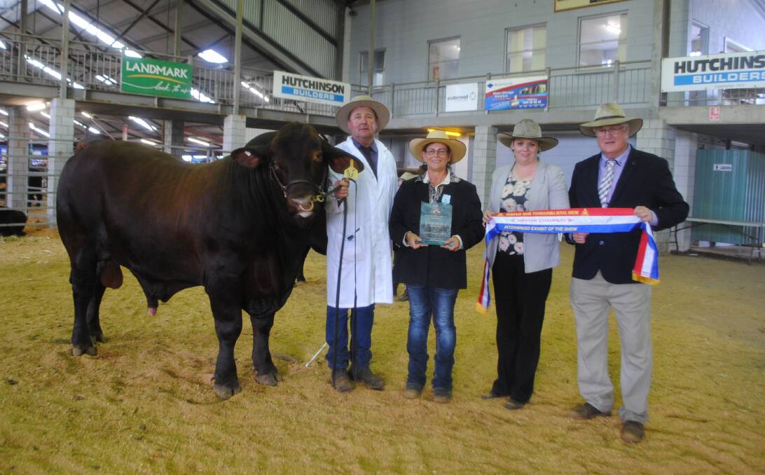 Supreme interbreed exhibit of Toowoomba Royal Show Rosehill Norman 31, owner John McCarthy and judges Kirrily Johnson-Iseppi, Shannon Williamson and Peter Lynes. 