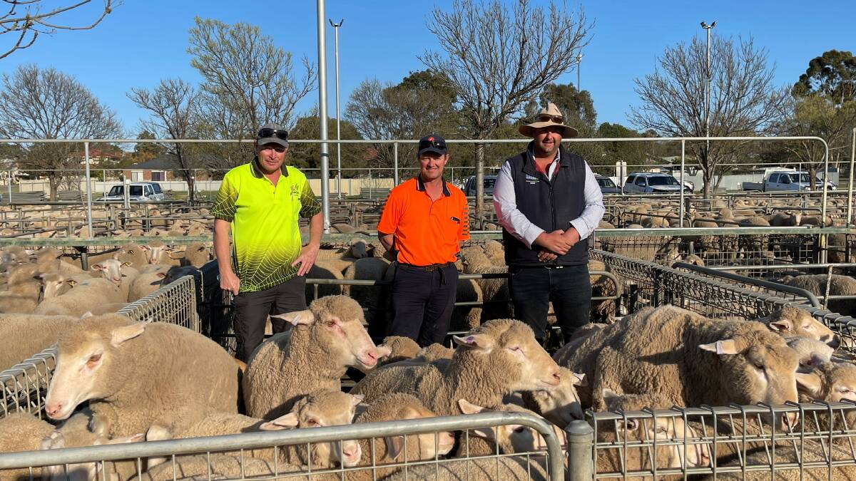 Jasper Munro and Matt Retallick, Tanany Pty Ltd, Menindee, NSW, with BR&C agent Rory Singleton at Ouyen's sheep sale.
