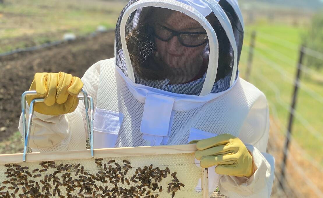Mia Vohland helps with beekeeping at Windy Acres Farm.