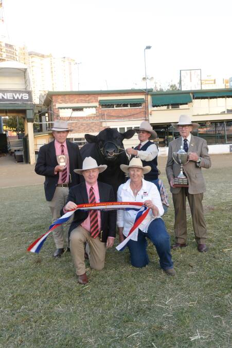 Front row: Andrew Meara, Elders with Helen Alexander. Back row: Blake Munro, Elders with Chris Knox and Alastair Bassingthwaighte presenting the Bassingthwaighte trophy for the champion of champion bull, DSK YXC New Age N17. Picture: Rachael Webb.