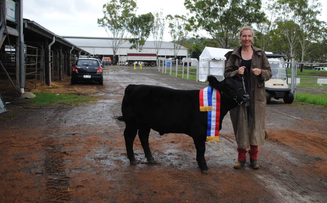 Margo Hayes with Vitulus Perfect Score, after he won the small breeds interbreed champion bull award. 