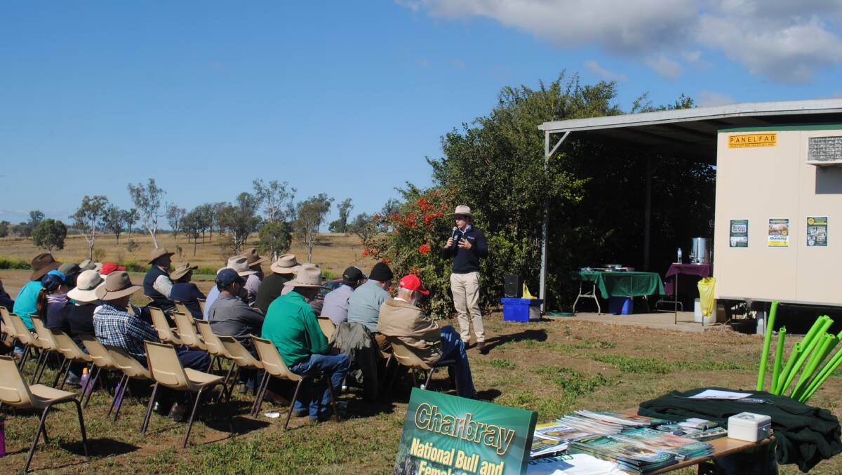 Victor Moffroid, Virbac, addresses the Charbray feedlot trial field day at Waterfall Feedlot. 