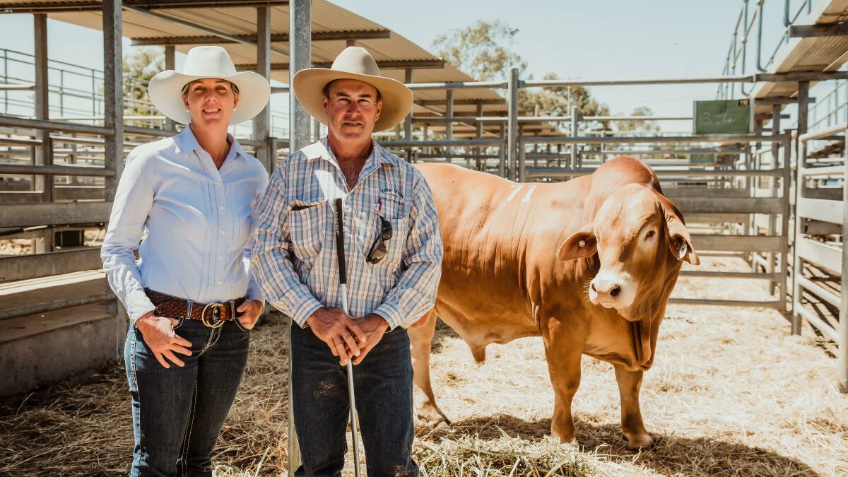 Leesa Woolcock, Mostyndale Droughtmasters and vendor Dave Smith with Vale View M Galaxy.
