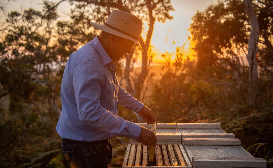 Queensland beekeeper Murray Arkadieff with a hive on Stradbroke Island. 