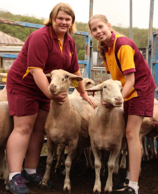 Sarah Wilson and Madi Martin help take delivery of Dalby State High School's new White Suffolks. 