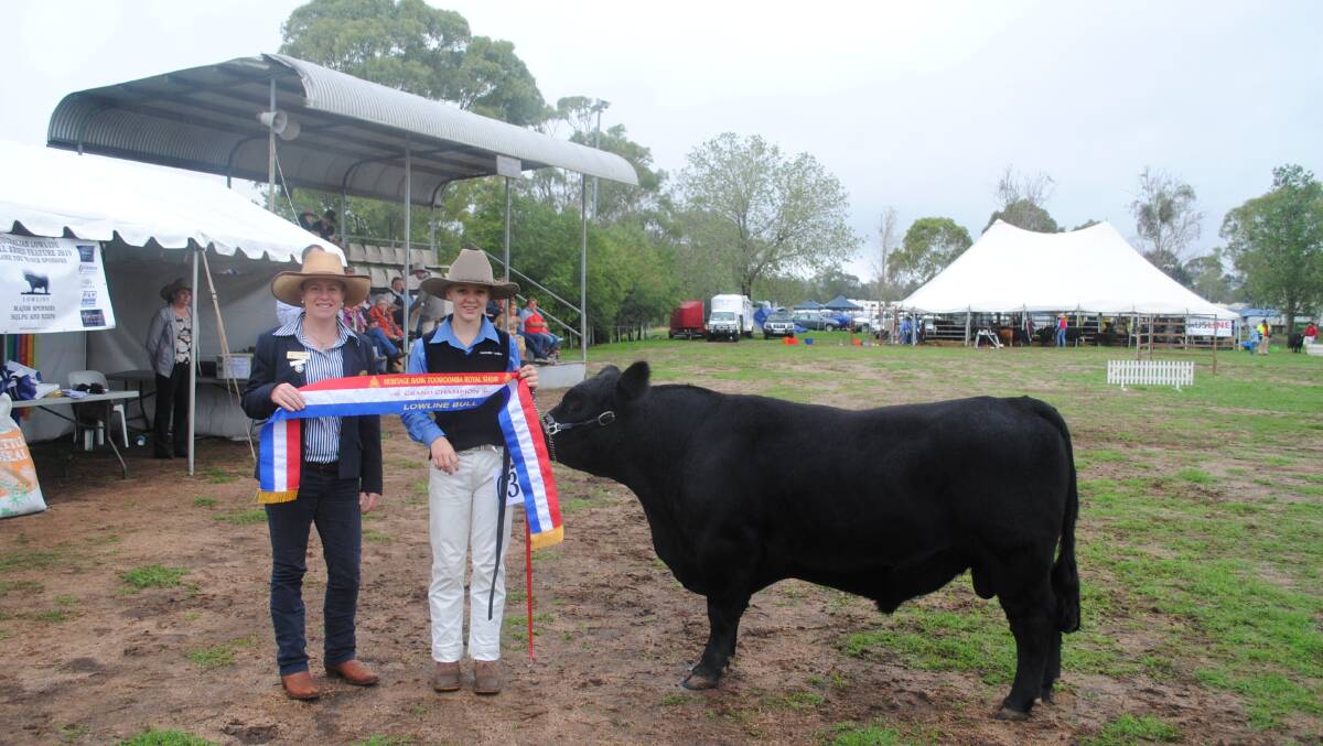 2018 Queensland Rural Ambassador Brooke Cuddihy, Emily Trim and Lik Lik Notorious with the ribbon for grand champion Australian Lowline bull. 