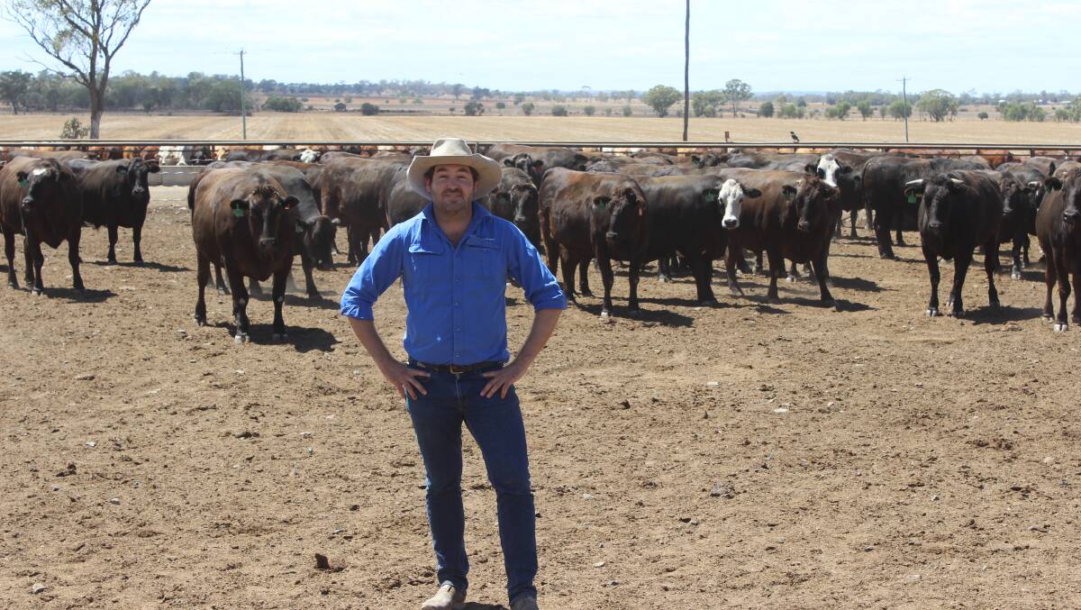 ALFA president Bryce Camm is looking forward to the SmartBeef program. Picture: Helen Walker. 