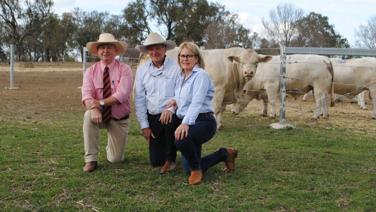 Elders auctioneer Andrew Meara with Ascot stud principals Jim and Jackie Wedge and top price bull Ascot King Tide N76E. 