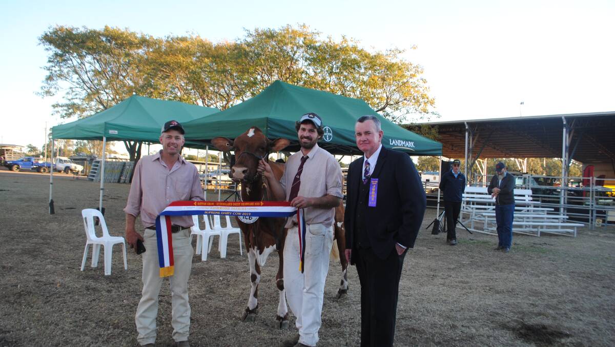Shane Bourke and Matt Henry with their supreme champion dairy cow Ovensdale Pearl 534 and judge Greg English, Malanda. 