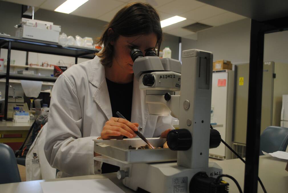 SEARCH FOR ANSWERS: Honours student Melody Thomson is part of the UQ team.