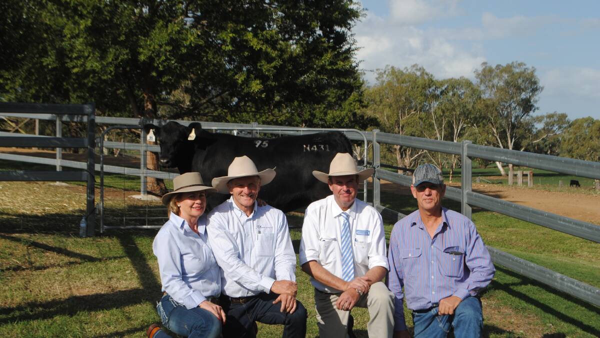 Ascot stud principals Jackie and Jim Wedge, guest auctioneer Paul Dooley and buyer Jeff Holzwart, Bauhinia Park Angus with top-priced heifer Ascot Annie N341 who sold for $14,000.