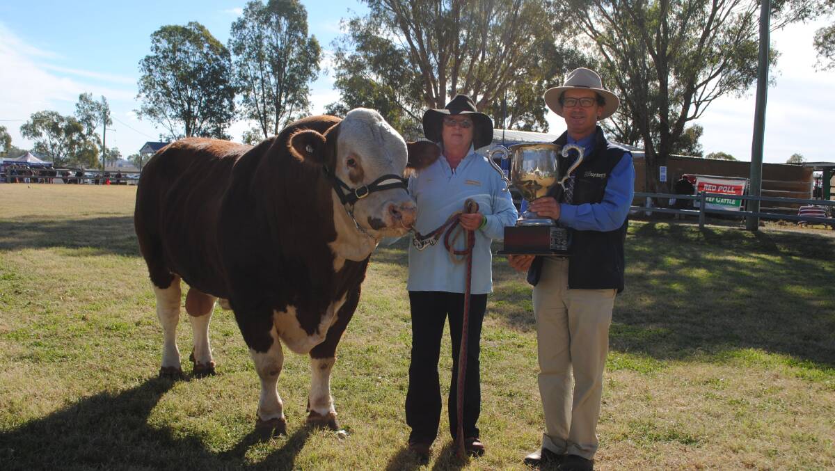 Cattleman's Cup winner Springside Manager with Springside Simmentals' Toni Rauchle and Natural Ecosystems Group managing director Leon Martin. 