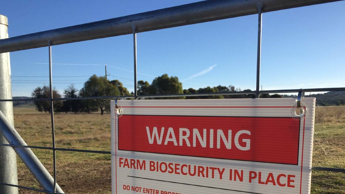 A Margate woman has become the first person in Queensland to receive infringement notices under biosecurity regulations introduced earlier this year. 
