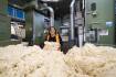 Wool thermal packaging company receives $250K seed funding