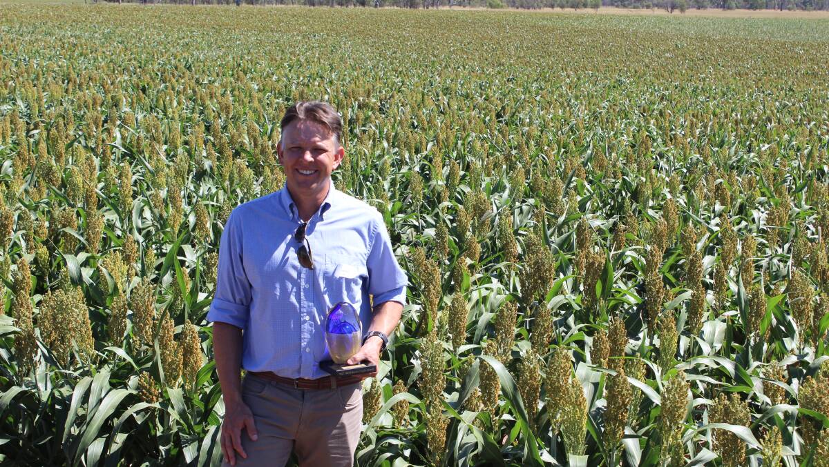 WINNER: Dr Lindsay Bell is this year's recipient of the GRDC Seed of Light award and accepted the award in Dalby on Tuesday.