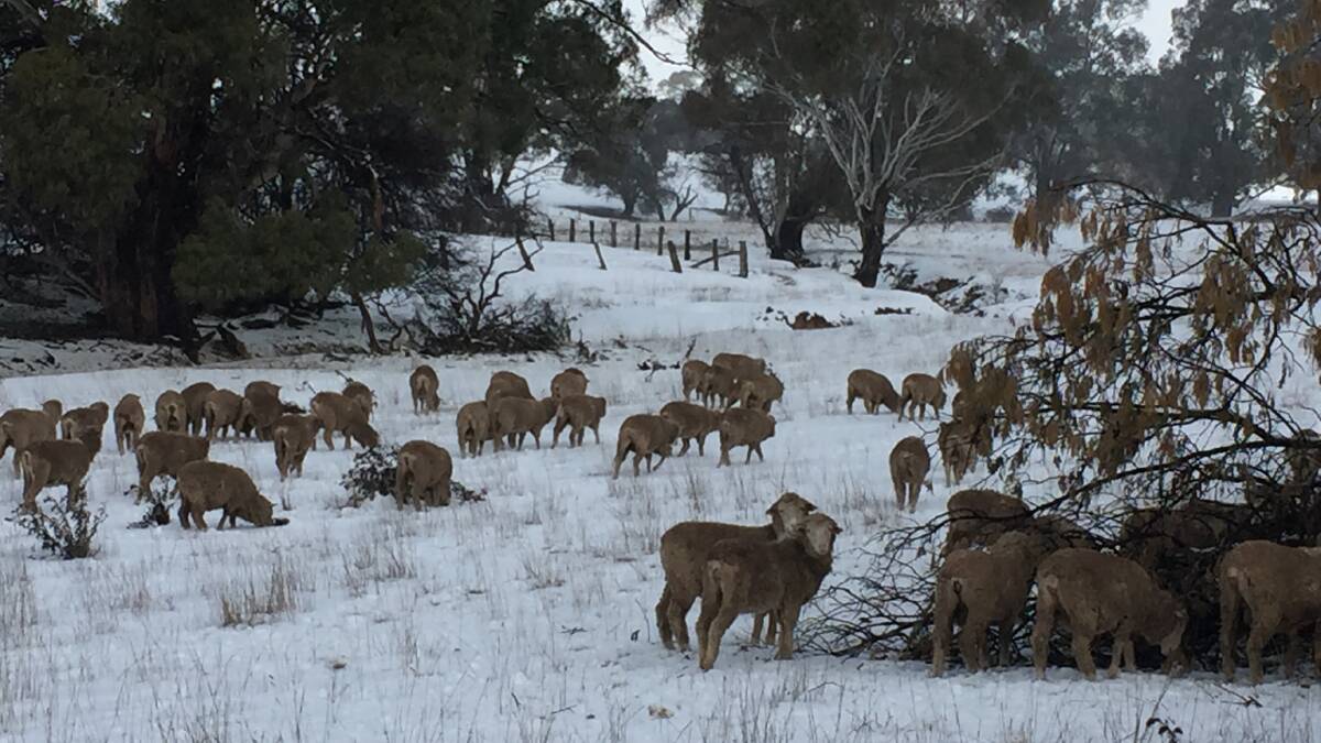 Snow blankets large areas of slopes and tablelands