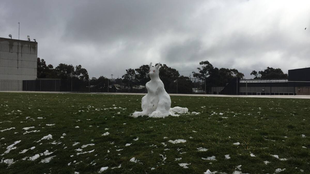 Cold enough for kangaroos to freeze! Picture by The Land's editor Andrew Norris of a snowy sculpture in Orange.