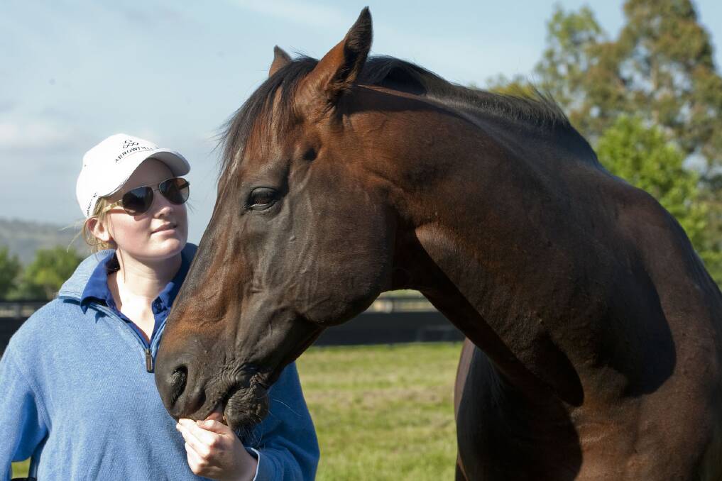 Vicky Leonard with Arrowfield's world famous sire Redoute's Choice in the Hunter Valley.