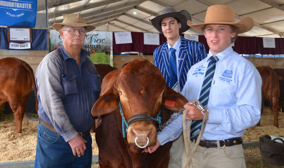 Blue Ribbon Droughtmasters stud principal Don Schirmer, Rockhampton, and Nudgee College Show Team students Riley Hegarty, 16, and Oliver Cresswell, 15, with Blue Ribbon Tommy, a 26-month-old bull at Beef Australia. Picture by Bryce Eishold