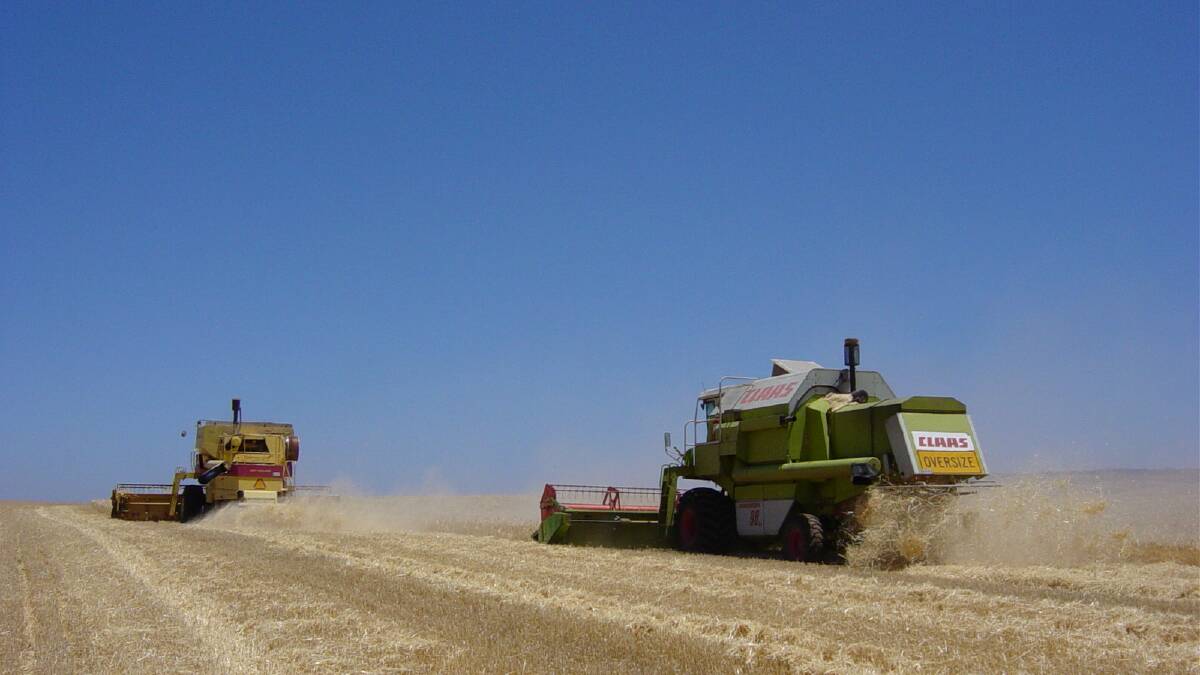 Analysts point to good grain marketing opportunities heading into the Australian winter crop harvest. 