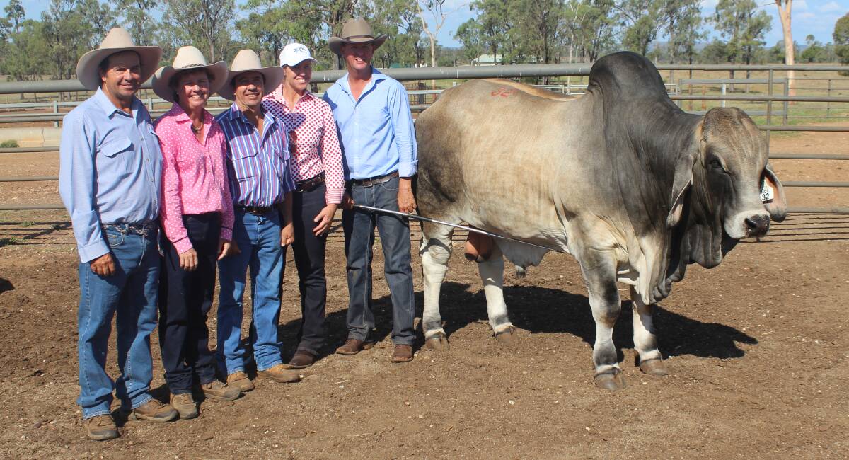 Top notch: Buying the top-priced bull, NCC Lord Delaware, for $70,000 was stud partnership David and Julie McCamley, Palmal, Dingo, and Andrew and Anna McCamley, 2AM, Dingo, with vendor Brett Nobbs. Picture: Inga Stünzner