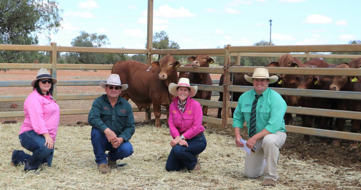 Nikki Cleary, Valera Vale Droughtmasters, buyers Roger and Jenny Underwood, Eversleigh and Wallace Vale Droughtmasters and Nutrien auctioneer Trent McKinlay, with top priced bull Valera Vale 19687M (P). 