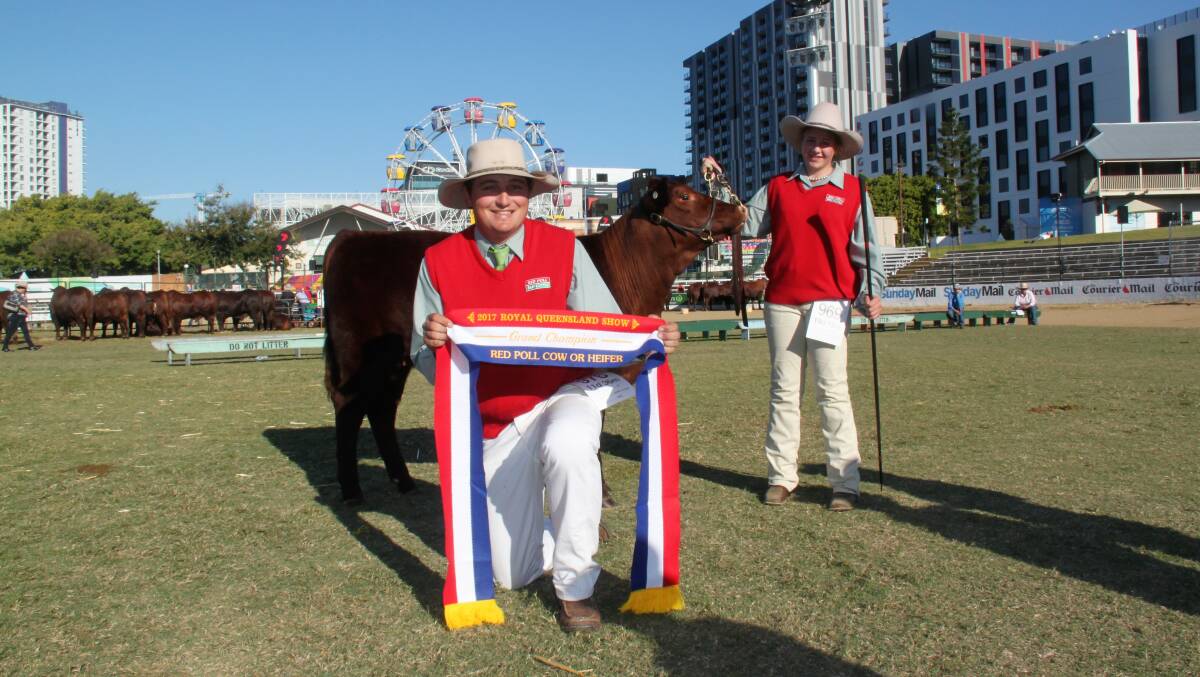 Grand Champion Red Poll female Lagoona Qinta owned by Tim Light, Lagoona Red Poll Stud, Armidale, and led by Isobel Leitch, Presbyterian Ladies' College, Armidale.