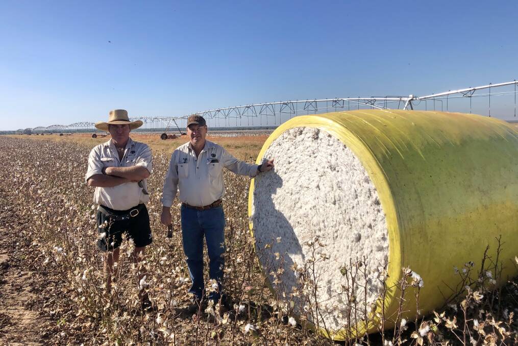 Tipperary Station farm manager Bruce Connolly with general manager David Connolly and the first bale of cotton harvested as part of the trial.