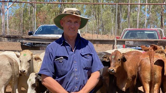 Martin and Tanya Harm, Monto, sold Brangus-cross steers for 400c/kg at 359kg to return $1436/head.